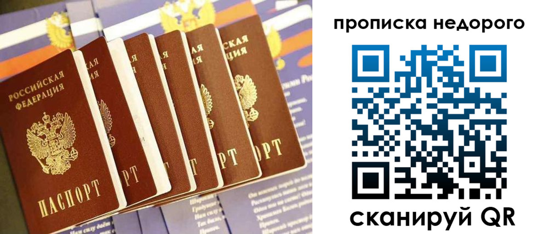 где прописаться в Белгороде